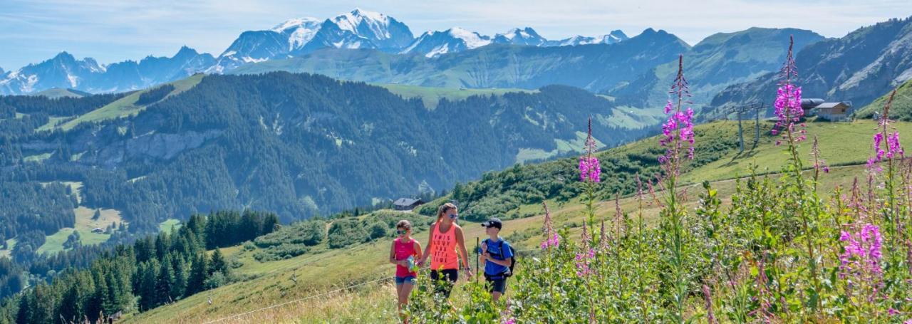 Fleur Des Montagnes Apartment Praz-sur-Arly Ngoại thất bức ảnh