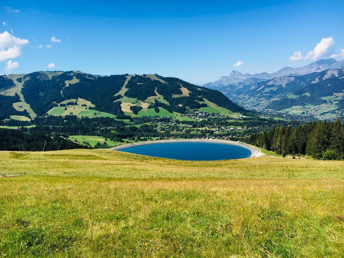 Fleur Des Montagnes Apartment Praz-sur-Arly Ngoại thất bức ảnh
