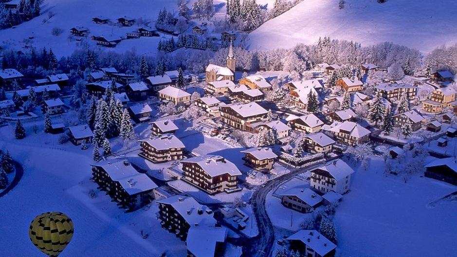 Fleur Des Montagnes Apartment Praz-sur-Arly Ngoại thất bức ảnh