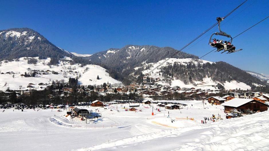 Fleur Des Montagnes Apartment Praz-sur-Arly Ngoại thất bức ảnh